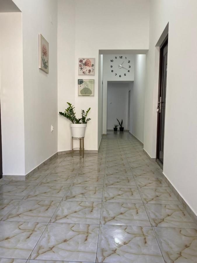 Lotus House Daire Beçkerek Dış mekan fotoğraf